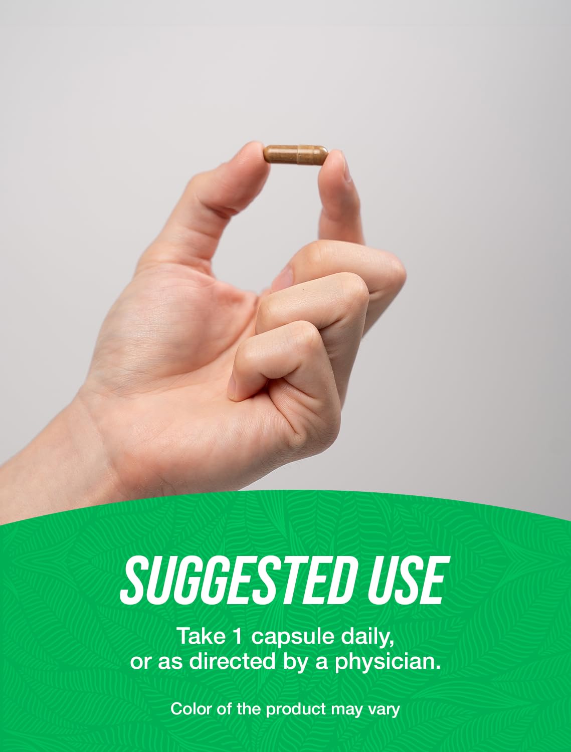 Vegan Astragalus Capsules, 240-count