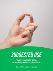 Vegan Astragalus Capsules, 240-count