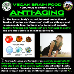 Graphic illustration showing plant-based lifestyle and brain icon
