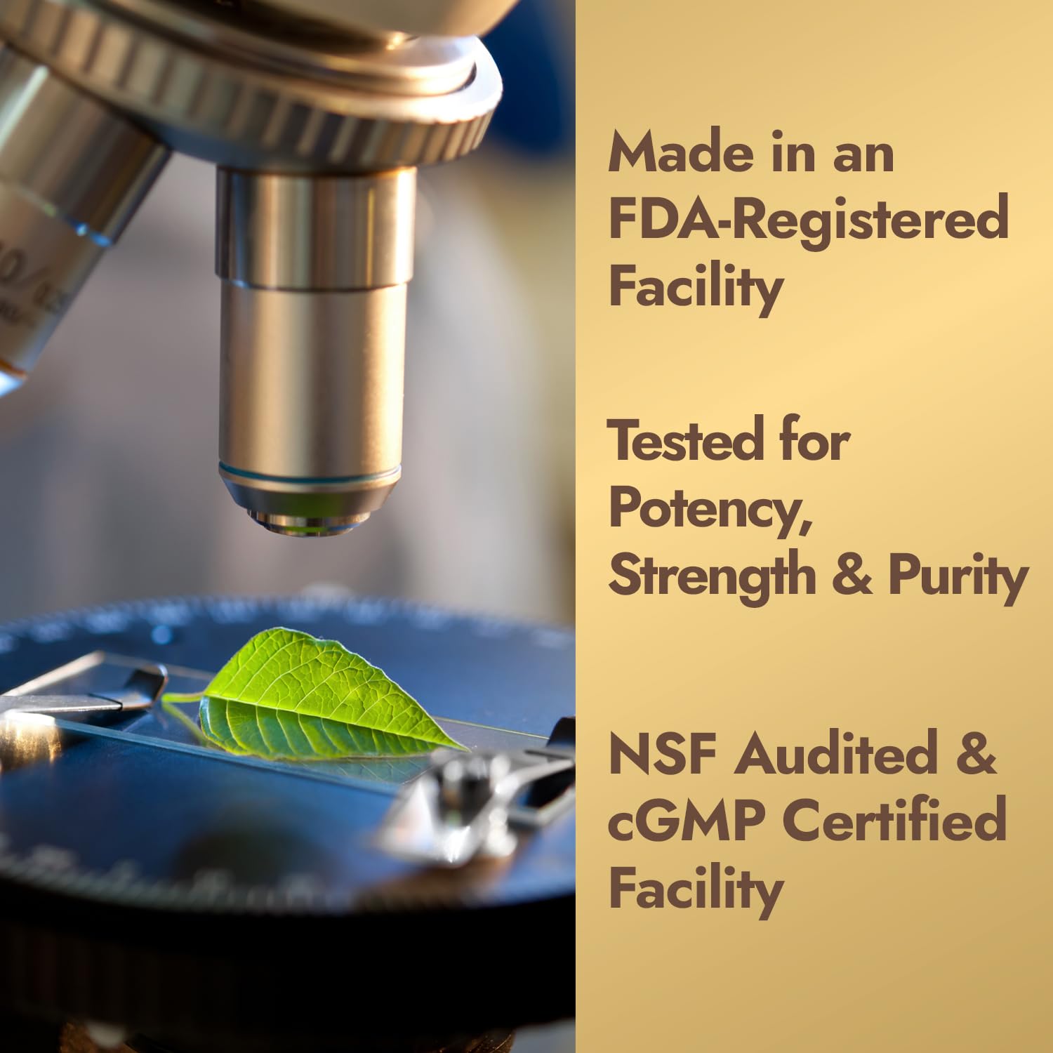 Vegan vegetarian capsules label