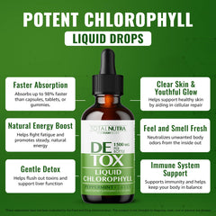 Vegan 50mg chlorophyll drops mint label