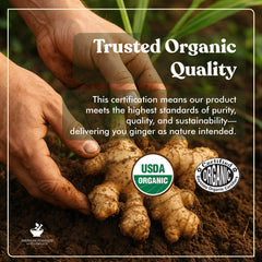 Vegan, gluten-free, non-GMO seals on packaging