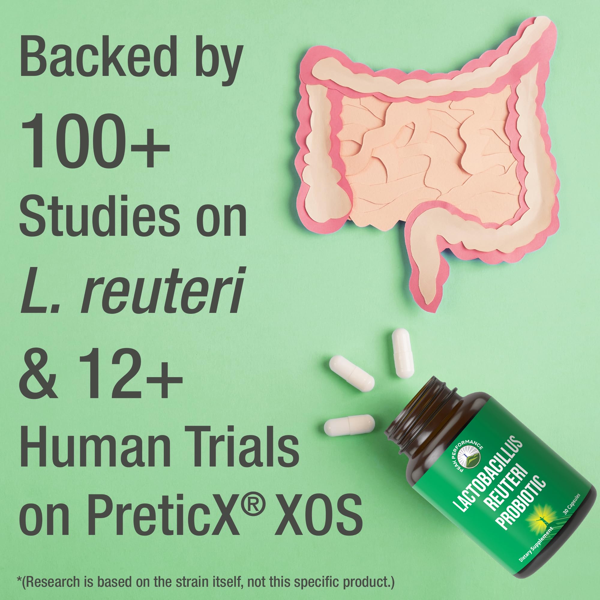 Vegan, gluten-free probiotic formulation
