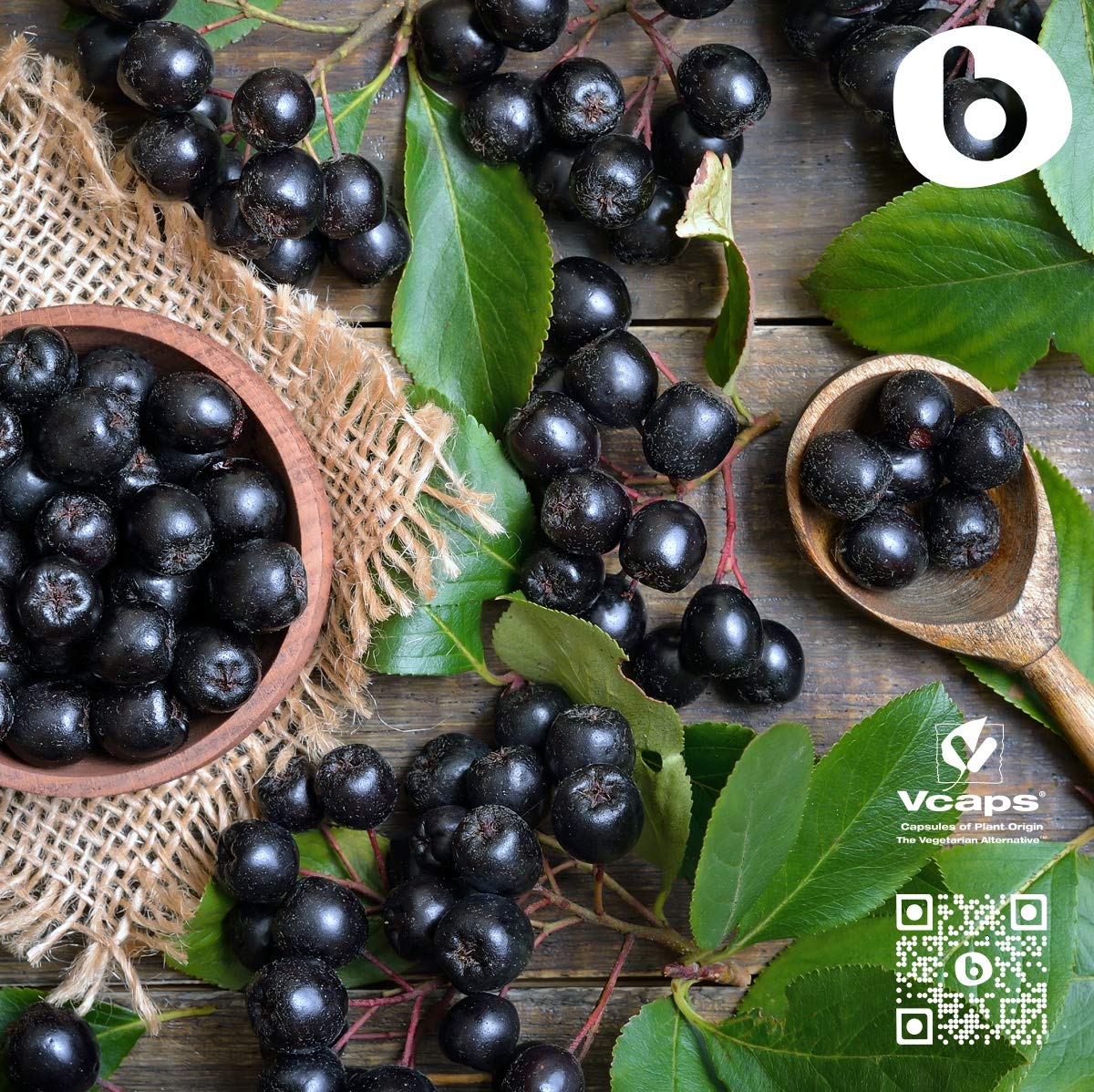 Vegan and gluten-free certification icons