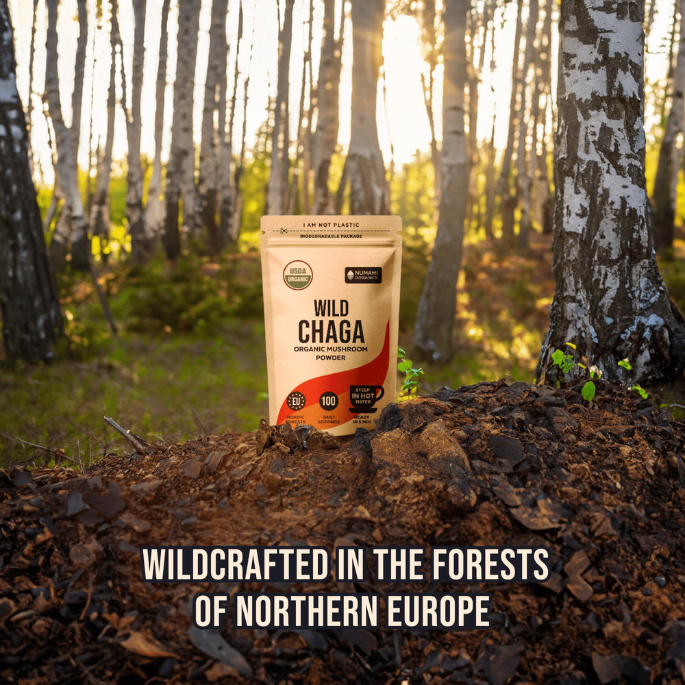 Vegan, gluten-free, non-GMO Chaga powder