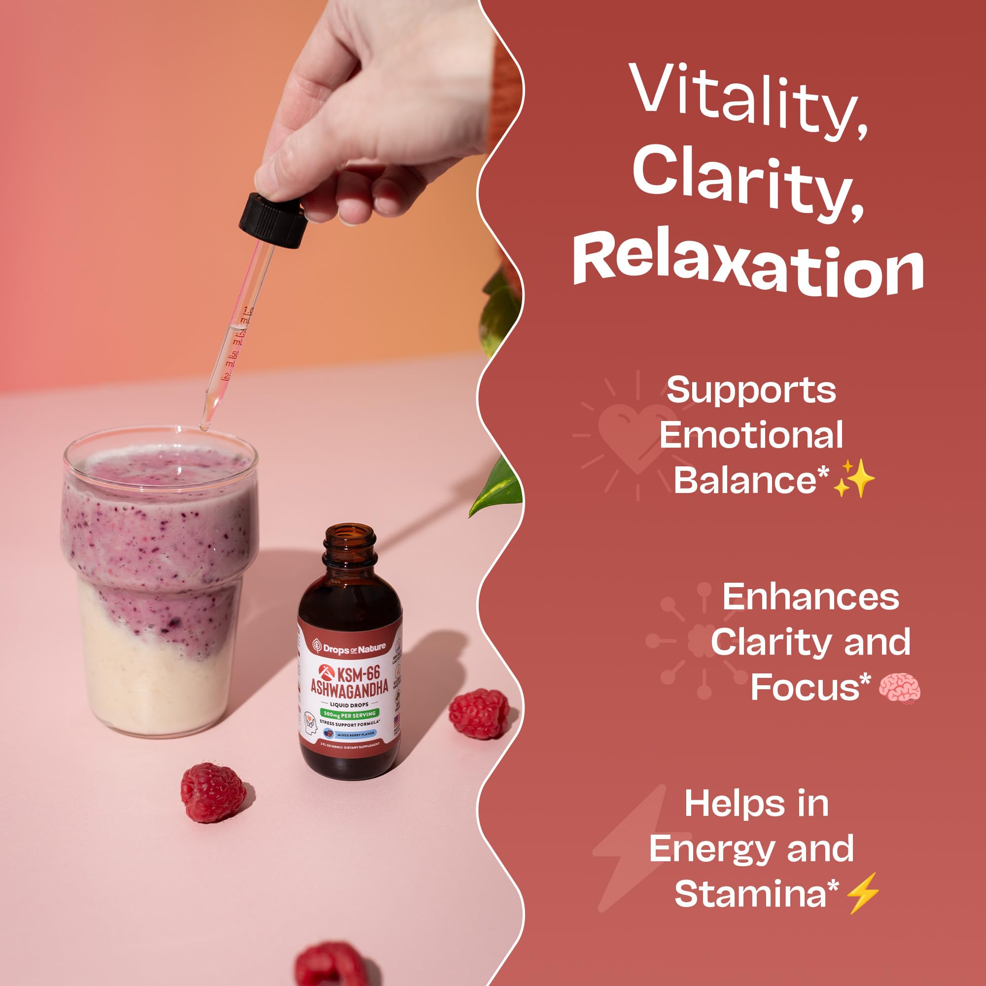 Packaging showing vegan and GMO-free attributes