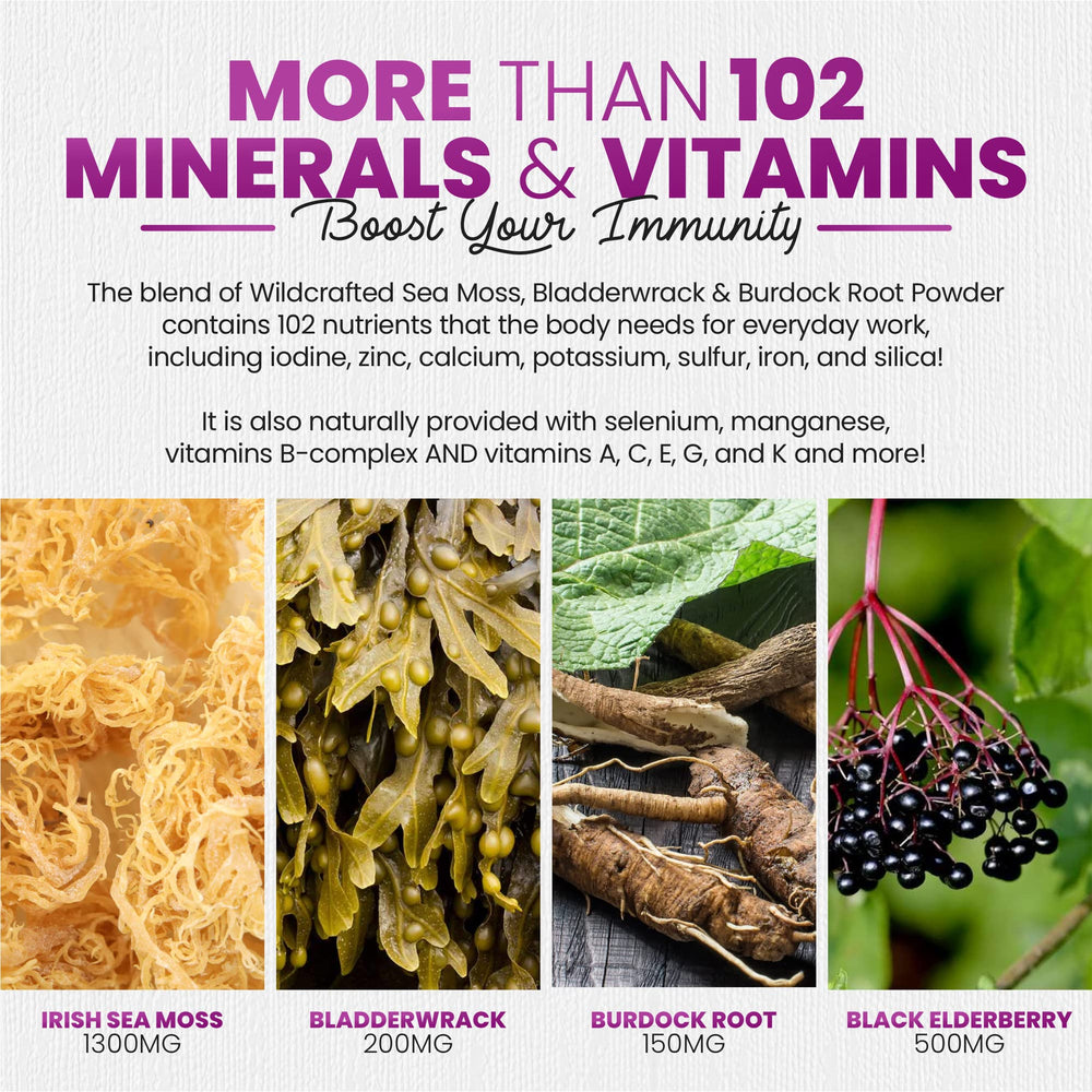 Vegan, non-GMO sea moss gummies with elderberry