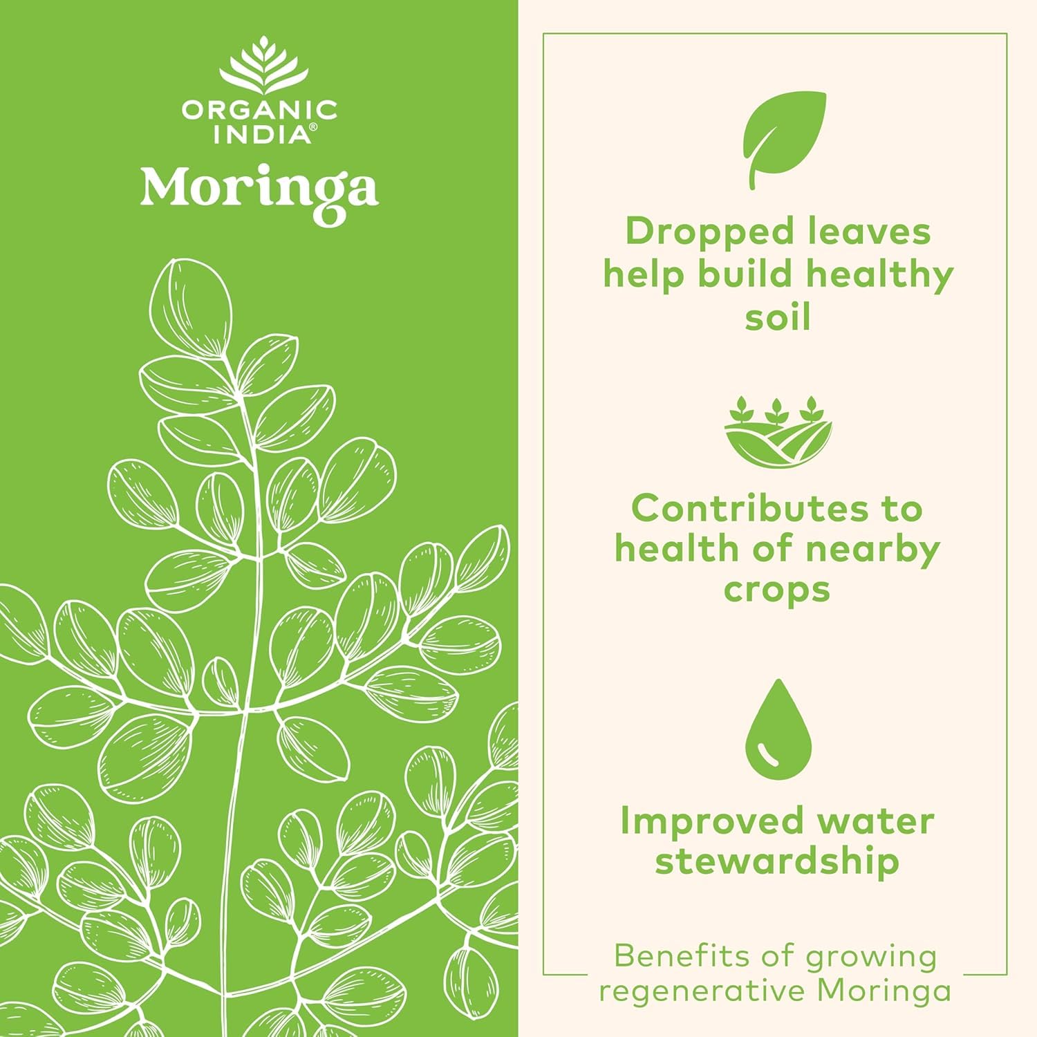 Vegan plant-based protein source from moringa powder