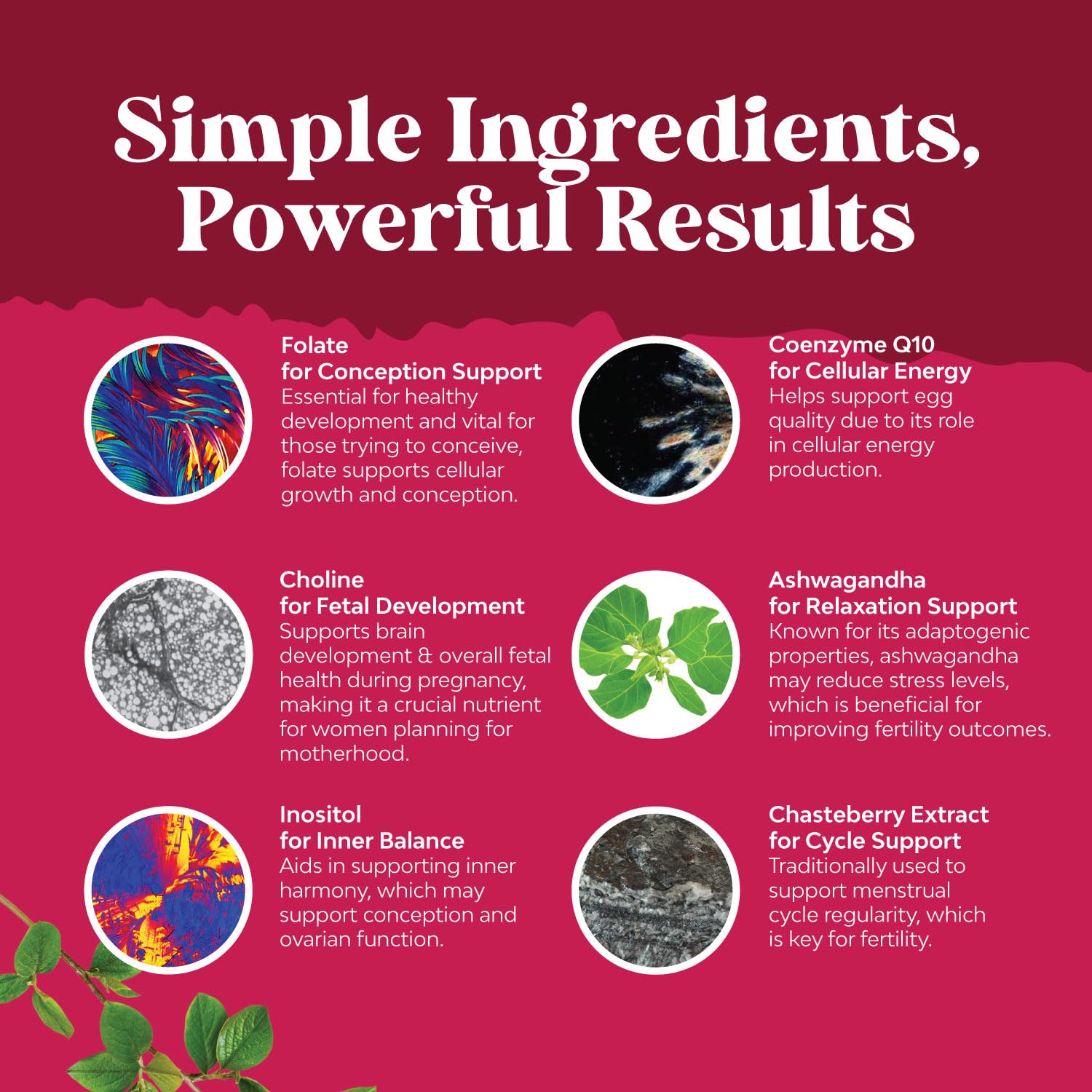 Vegan, Non-GMO and Gluten-Free formula