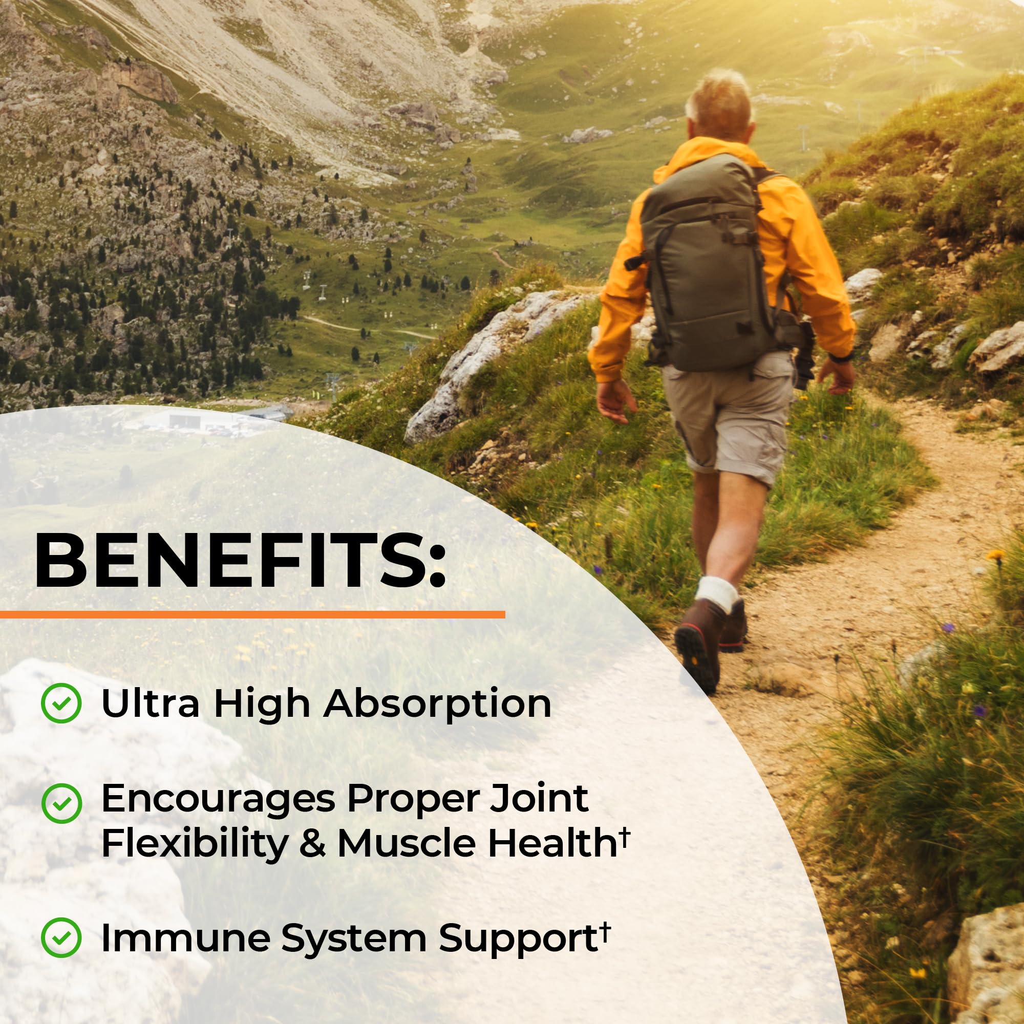 Vegan non-GMO turmeric capsules