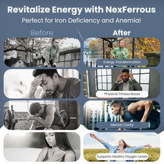 Vegan-friendly non-heme iron supplement