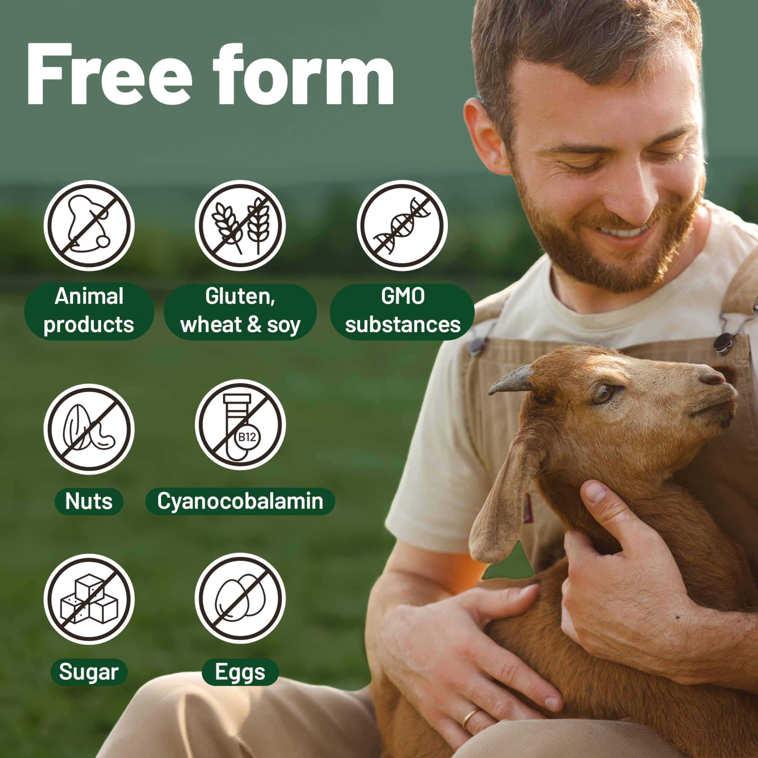 Plant-based omega-3 supplement to complement vegan vitamins