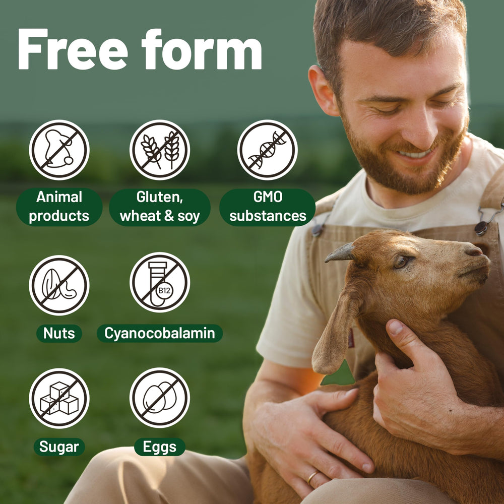 Plant-based omega-3 supplement to complement vegan vitamins