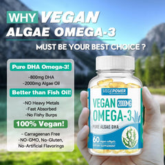 Back view of bottle showing supplement facts and ingredients