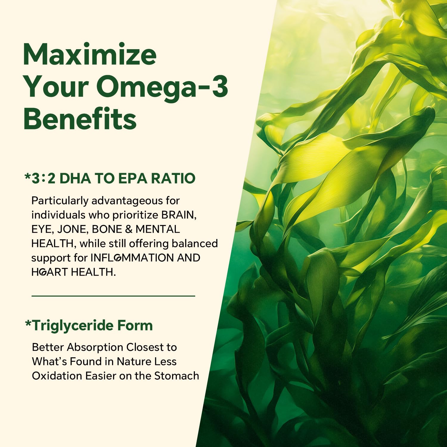 Algae-based omega-3 gummies on white background