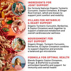 Vegan organic turmeric-curcumin capsules with berberine, cinnamon and ginger