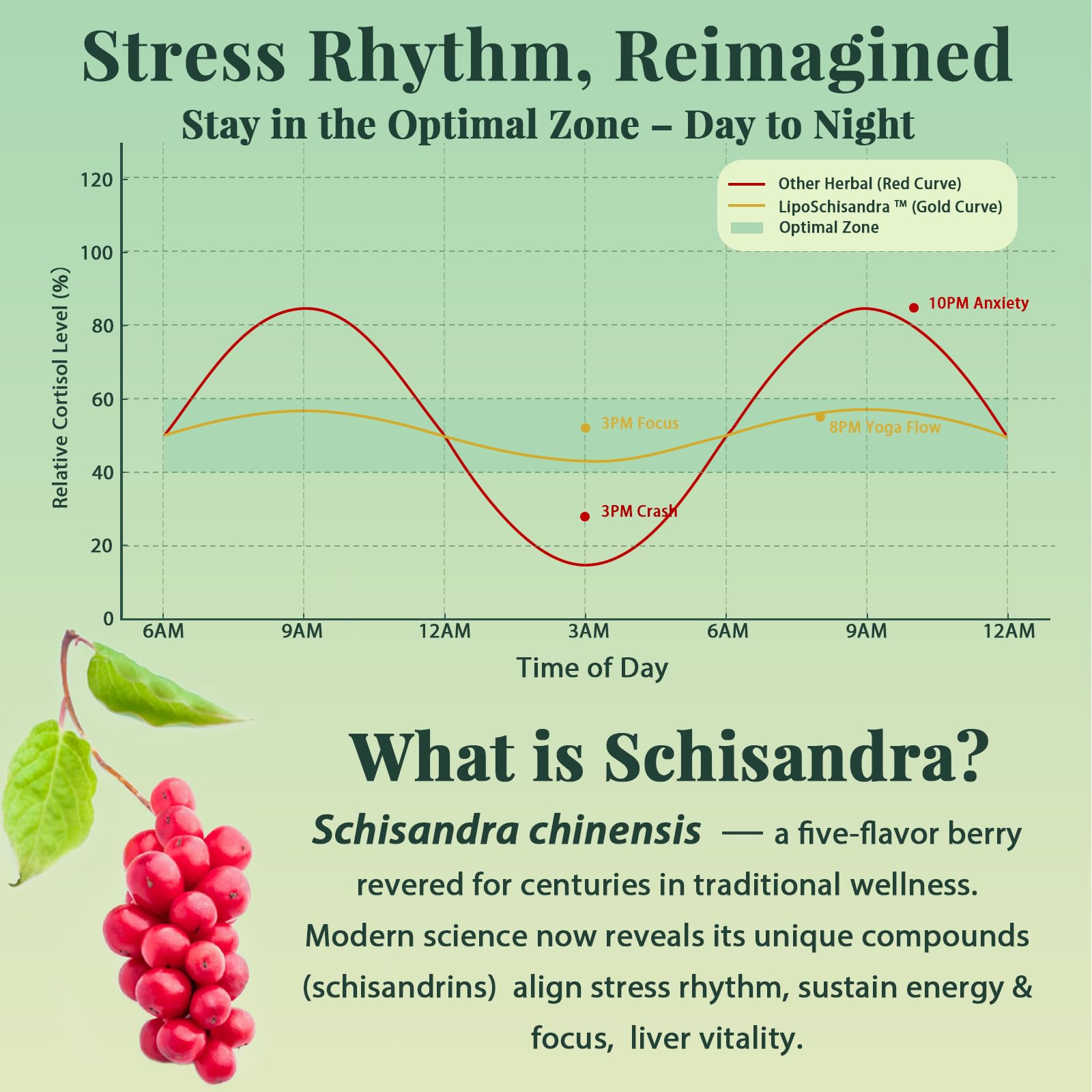 Vegan softgels bottle of Liposomal Schisandra Berry Extract