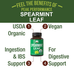 Vegan spearmint leaf capsules close-up