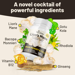 Close-up of Lions Mane mushroom extract capsules