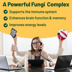 Reishi and Chaga mushrooms for immune support