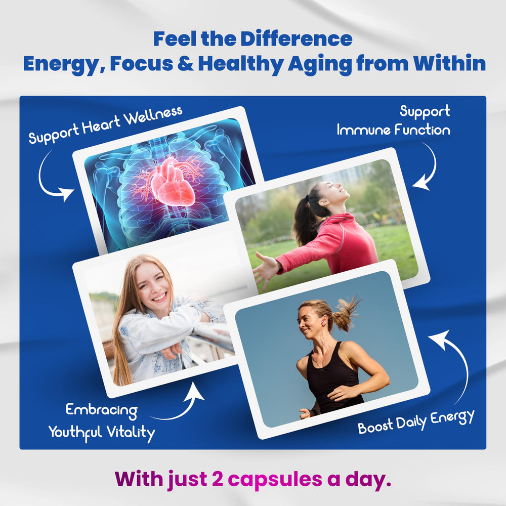 Trans-Resveratrol derived from Polygonum cuspidatum root emphasis