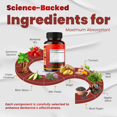 Close-up of key ingredients including Berberine, Gymnema, Cinnamon, and Bitter Melon