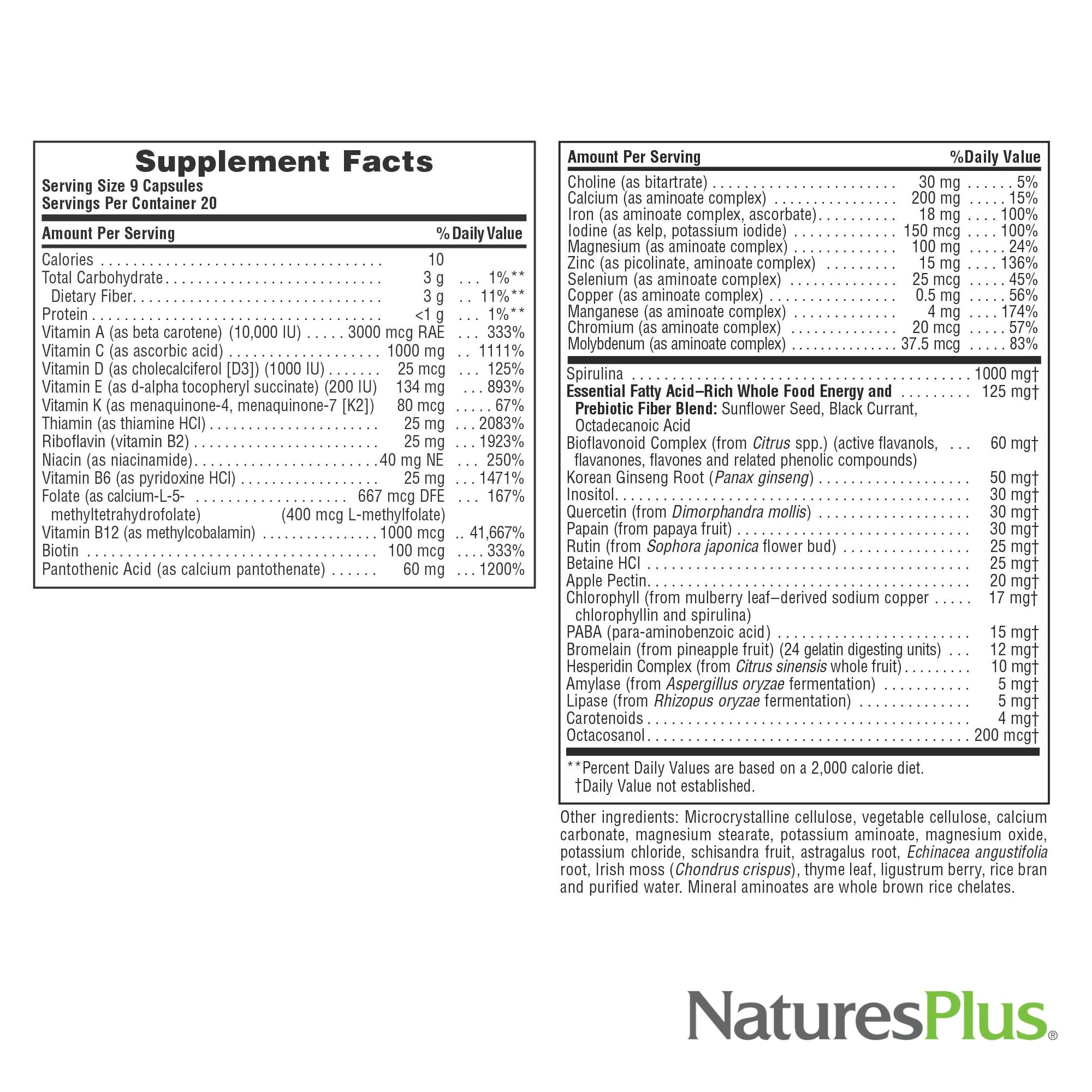 Vegetarian formula icon
