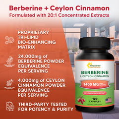 Vegan-friendly, non-GMO veggie capsules for Berberine Cinnamon