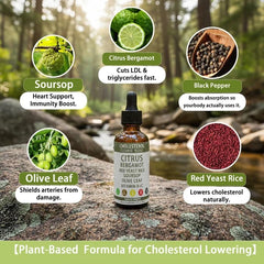 Velora Citrus Bergamot Cholesterol Support bottle with citrus imagery