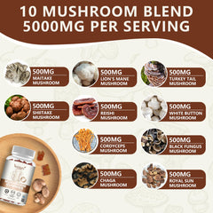10-mushroom ingredient blend including Lion’s Mane and Reishi