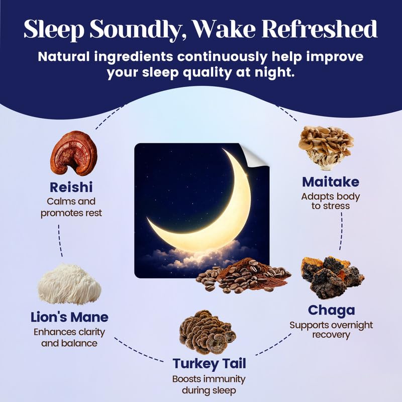 Illustration of five adaptogenic mushrooms on Cocoa mix