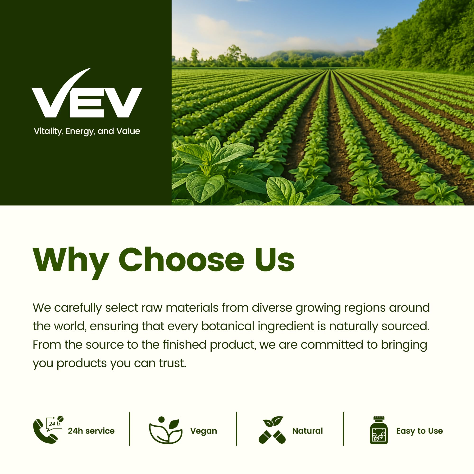 GMP facility and third-party testing certificates for VEV products