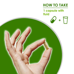 VH Nutrition Noni Capsules product box with supplement facts