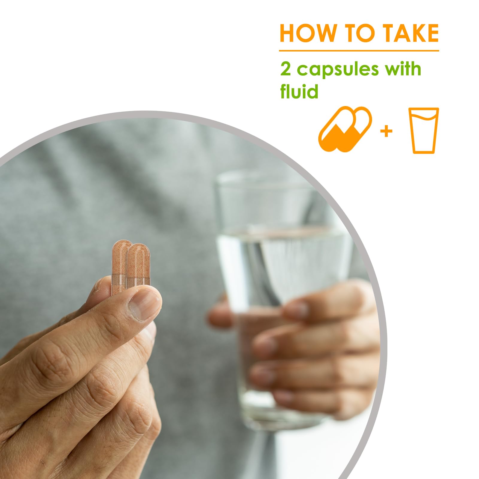 VH Nutrition FoodBoost MAX ingredients alfalfa ginger lemon highlighting digestion-friendly mix