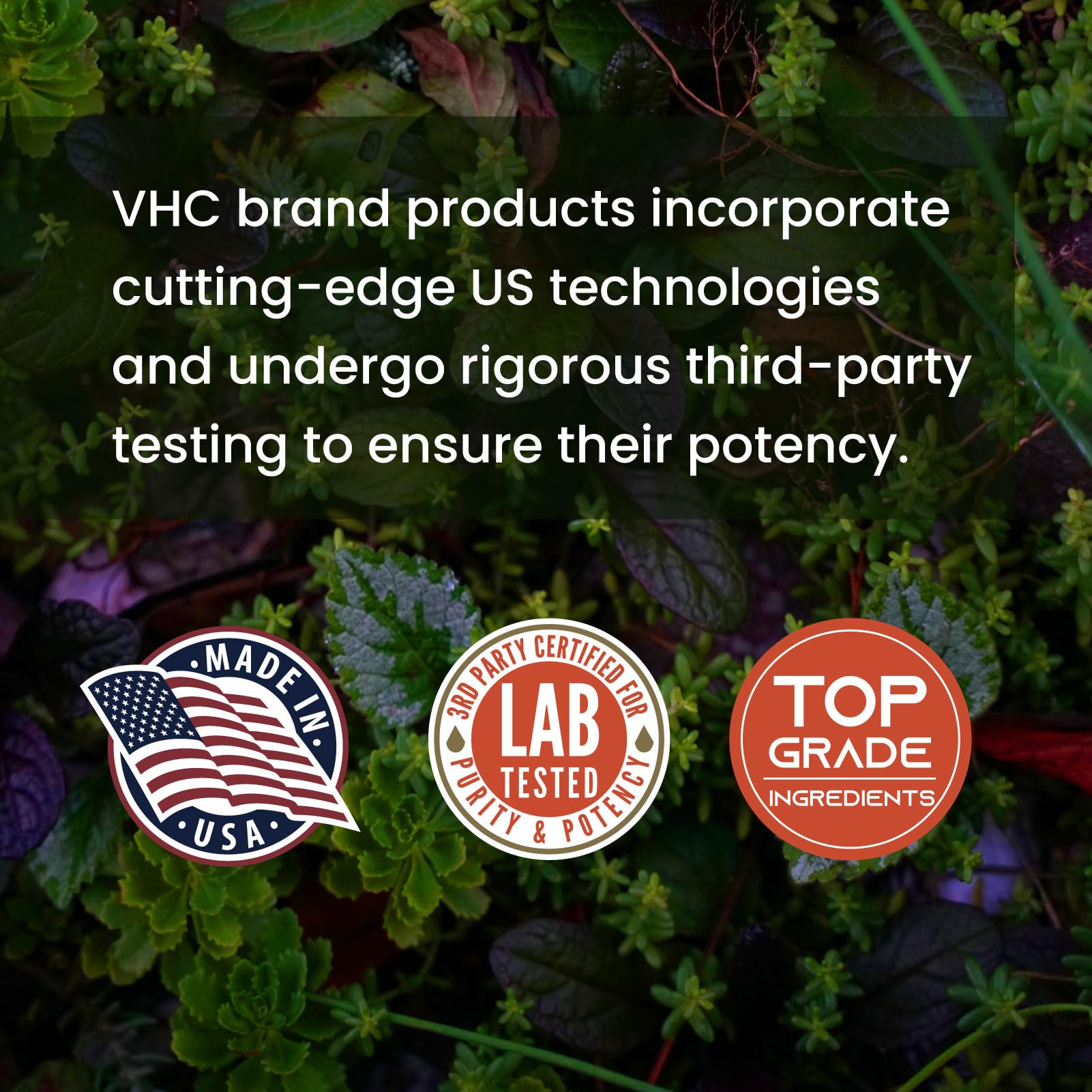 Third-party lab testing certificate for Benfotiamine 600mg