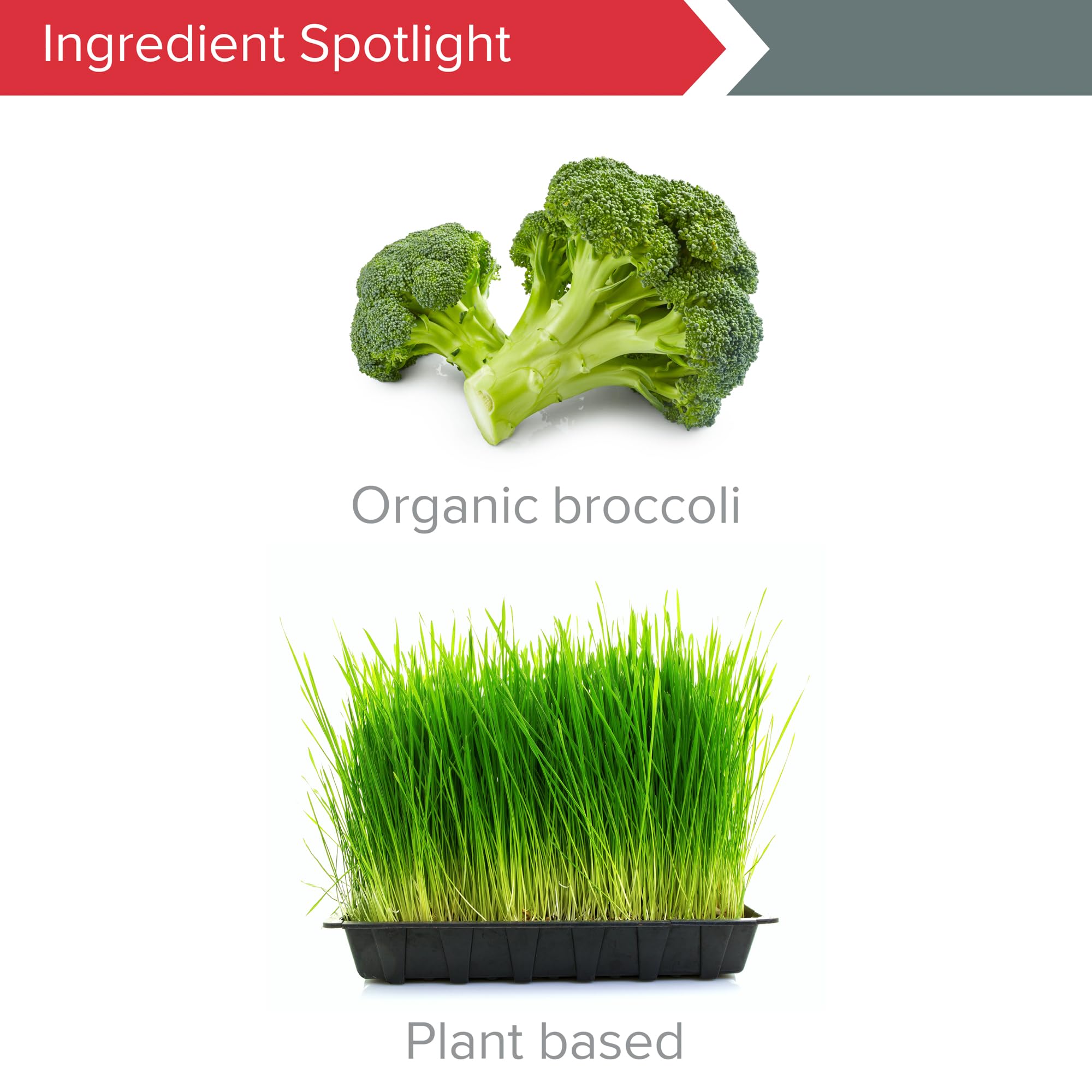 Ingredients list emphasizing plant-based formula