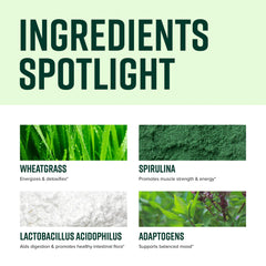 Assortment of superfoods including spirulina, spinach and goji berries