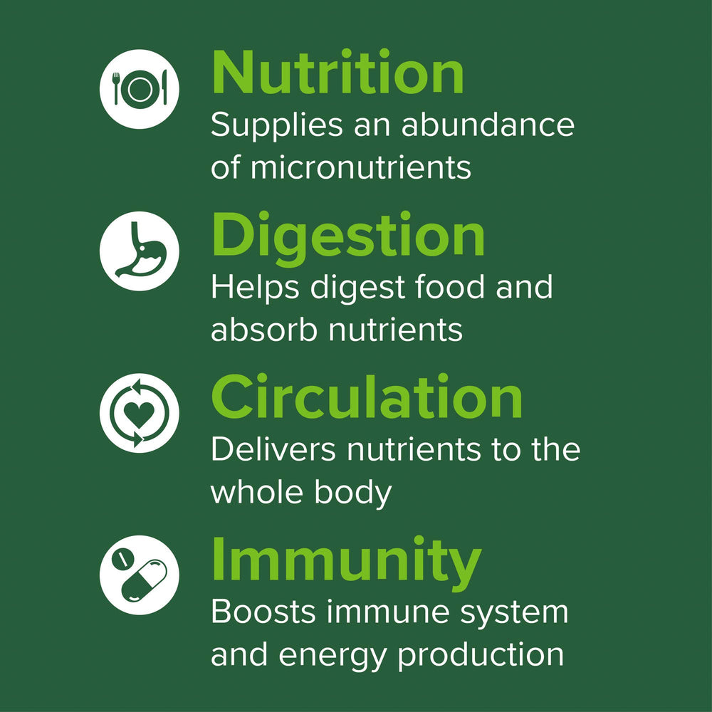 Whole-food nutrition blend in Green Vibrance