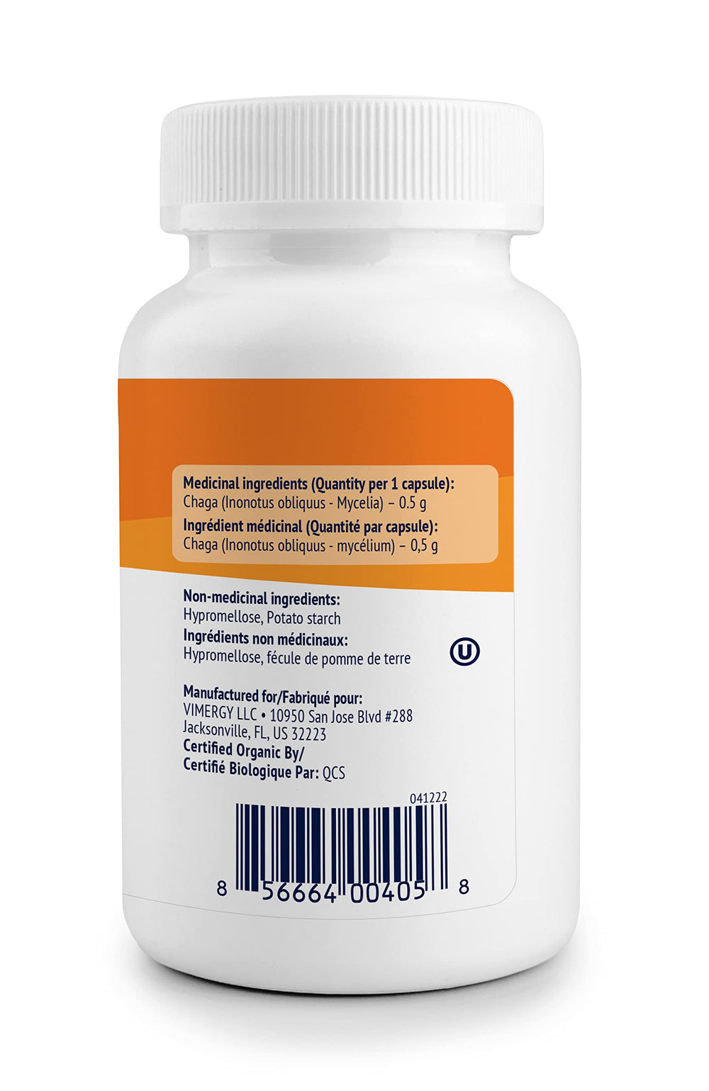 Chaga mushroom close-up