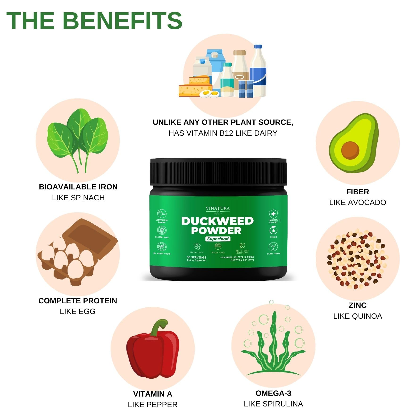 Duckweed powder being mixed into water