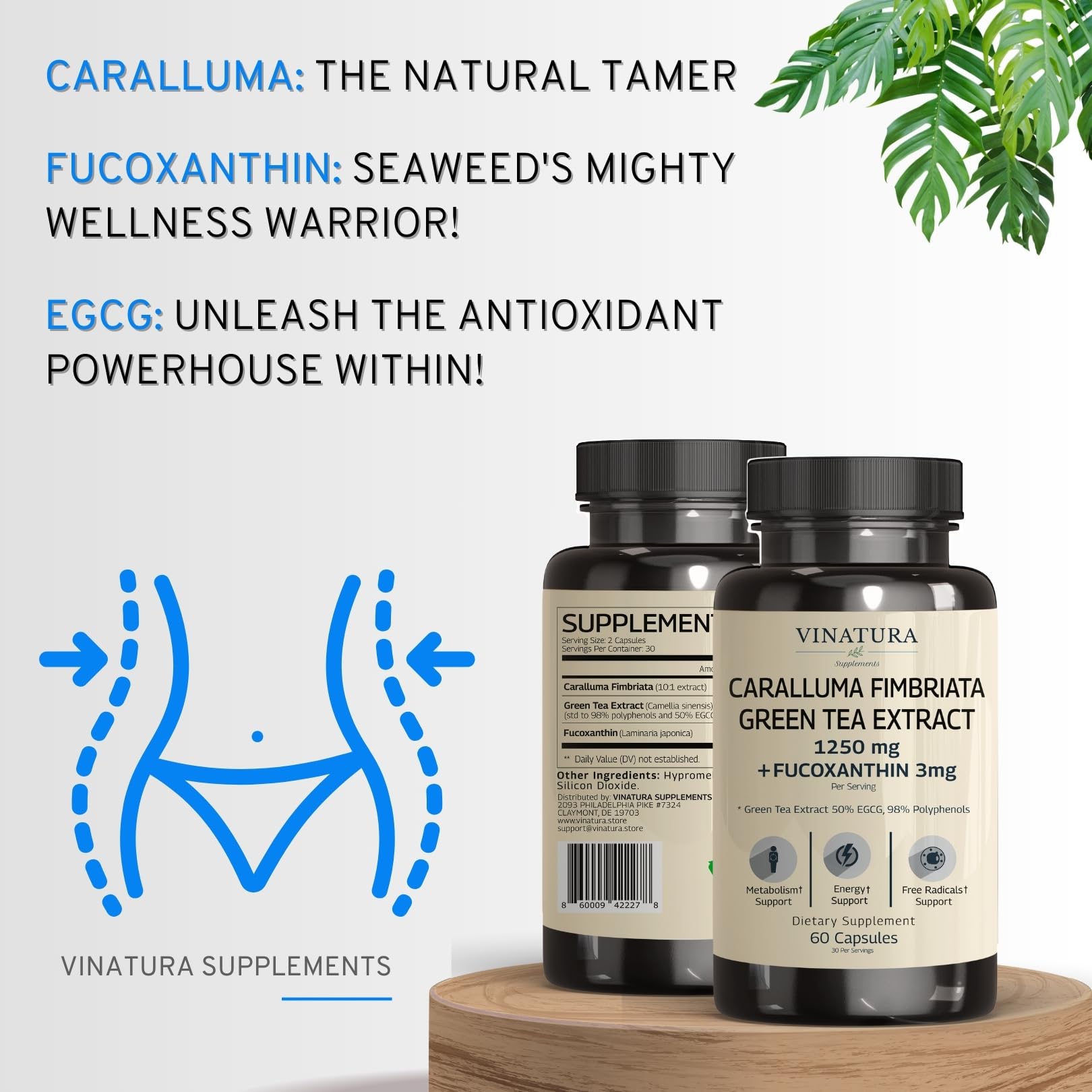 VINATURA fucoxanthin 3mg capsules bottle showcases synergy with caralluma for overall wellness.