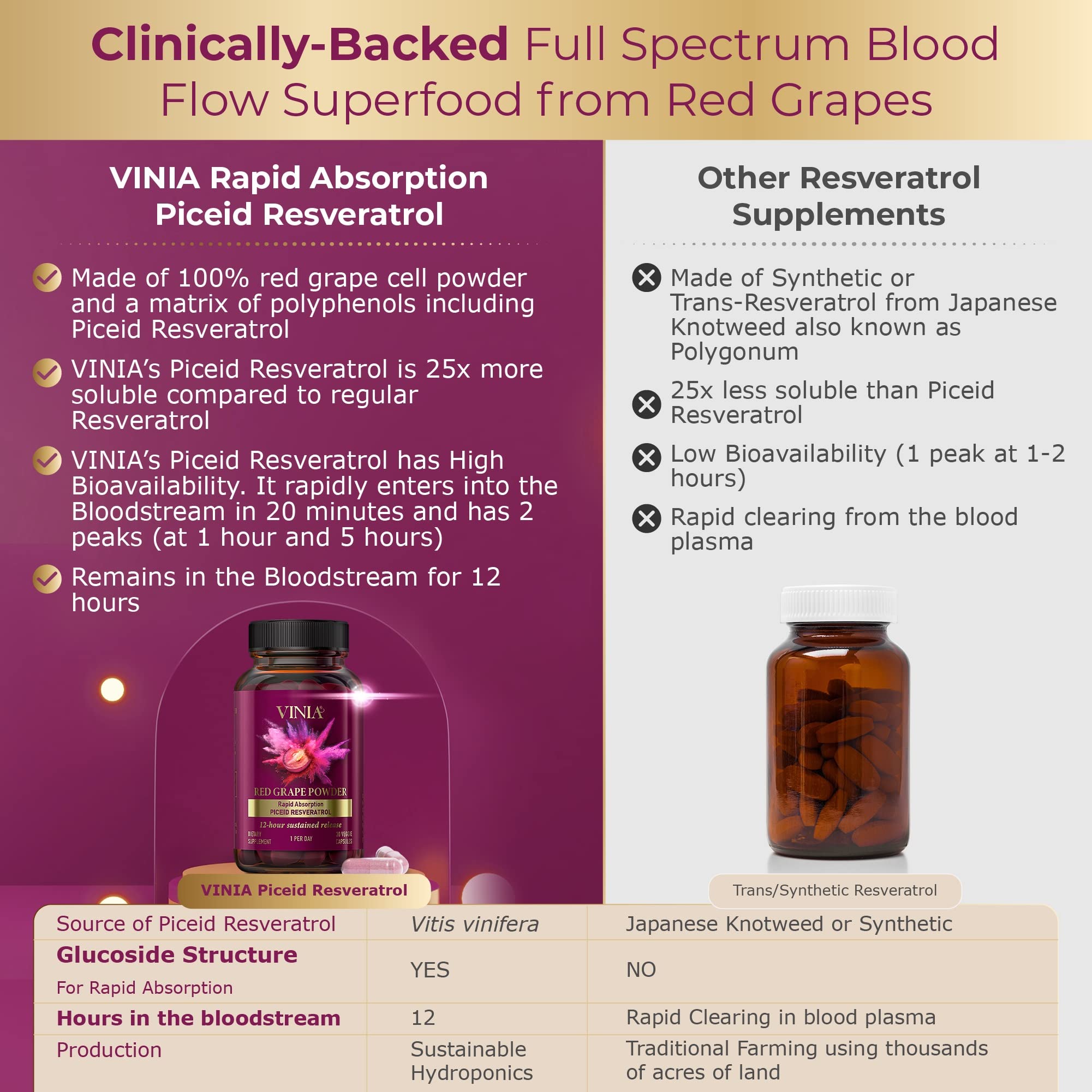 Graphic illustrating heart health and blood flow with VINIA
