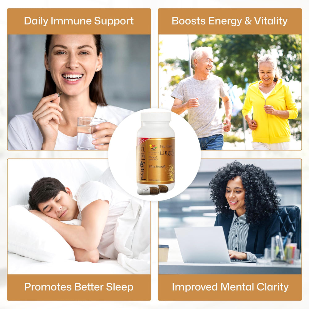 Close-up of Lingzhi (Reishi) mushrooms used in capsules