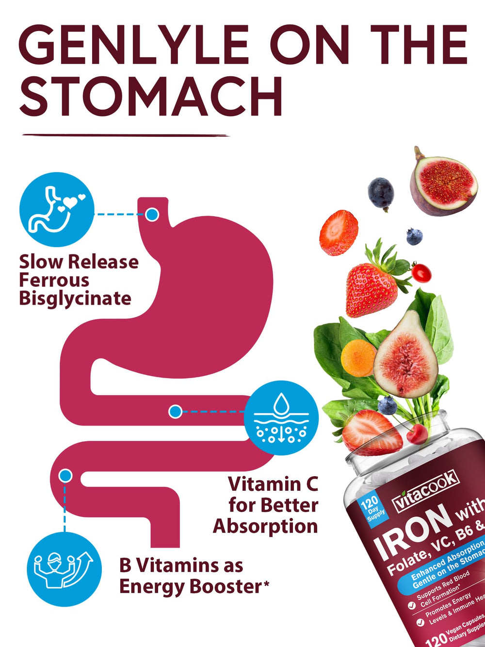 Vitamin C aiding iron absorption illustration