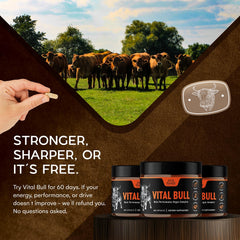 Freeze-dried beef organ capsules for men