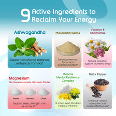 Vital Herbal Cortisol ingredients including Ashwagandha and St. John's Wort