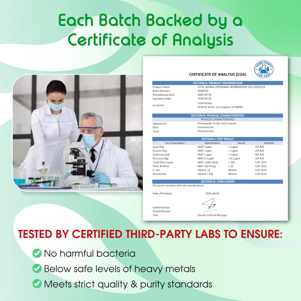 Concept image of digestive health and microbial harmony support