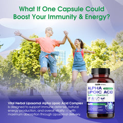 Illustration of enhanced absorption via liposomal technology