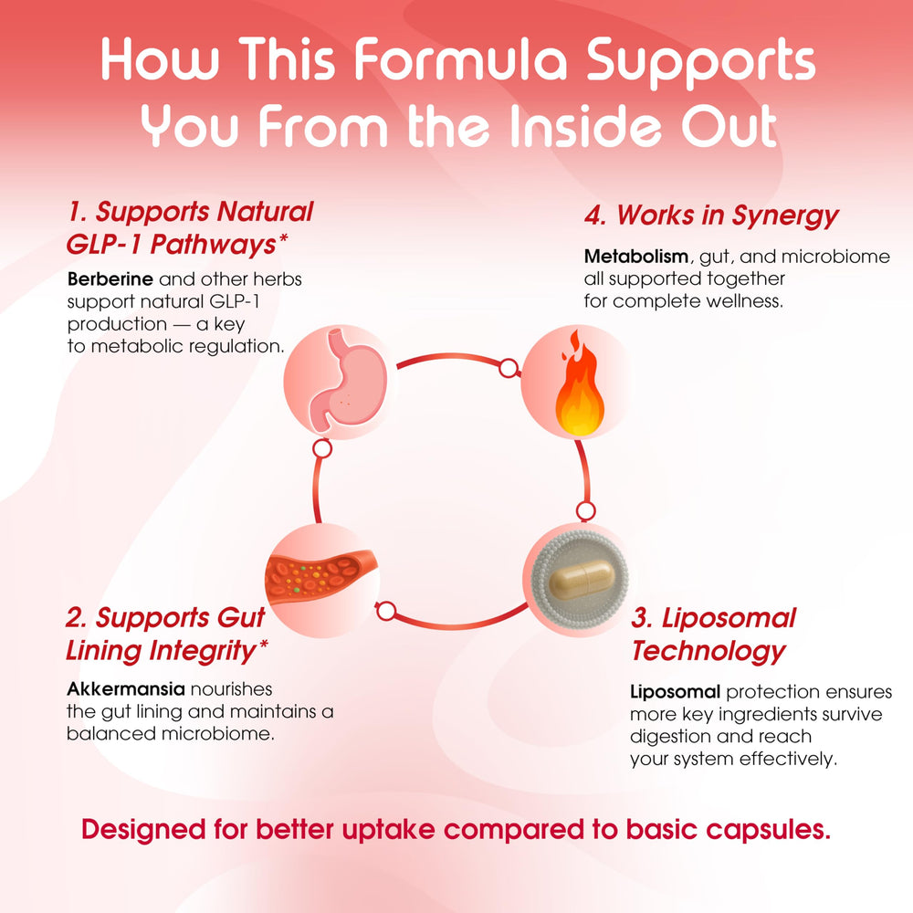 Graphic showing gut microbiome balance and digestive health