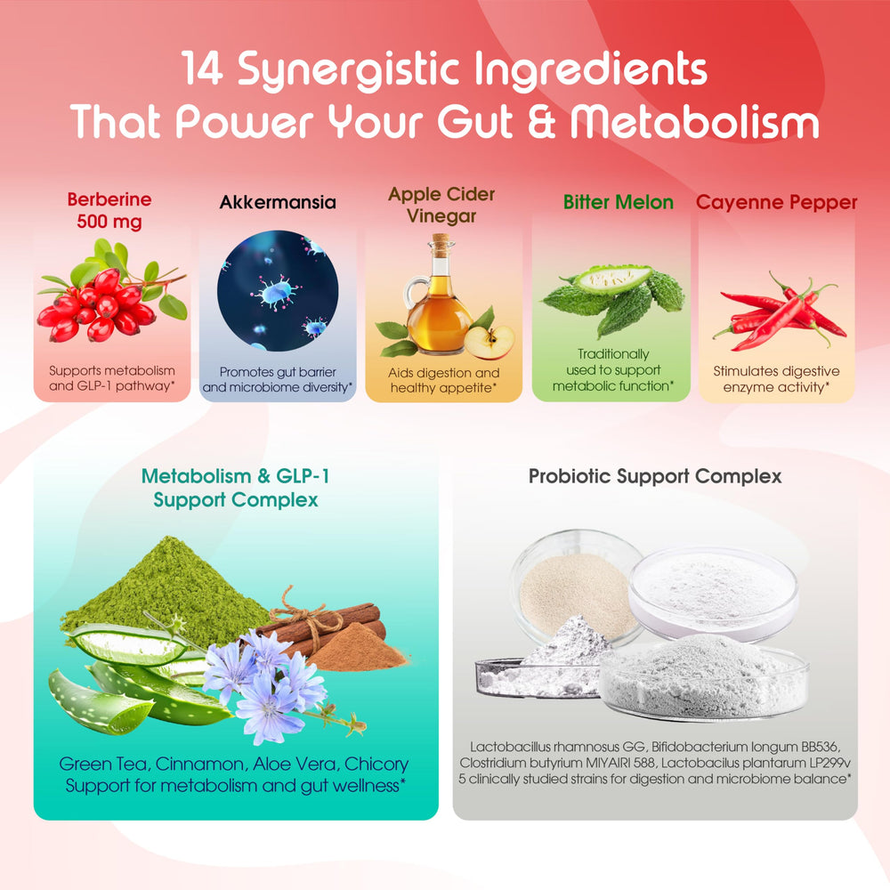 Illustration of key ingredients Berberine Akkermansia Cinnamon Green Tea Apple Cider Vinegar